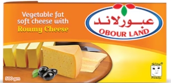 جبن عبور لاند رومي  500 جم