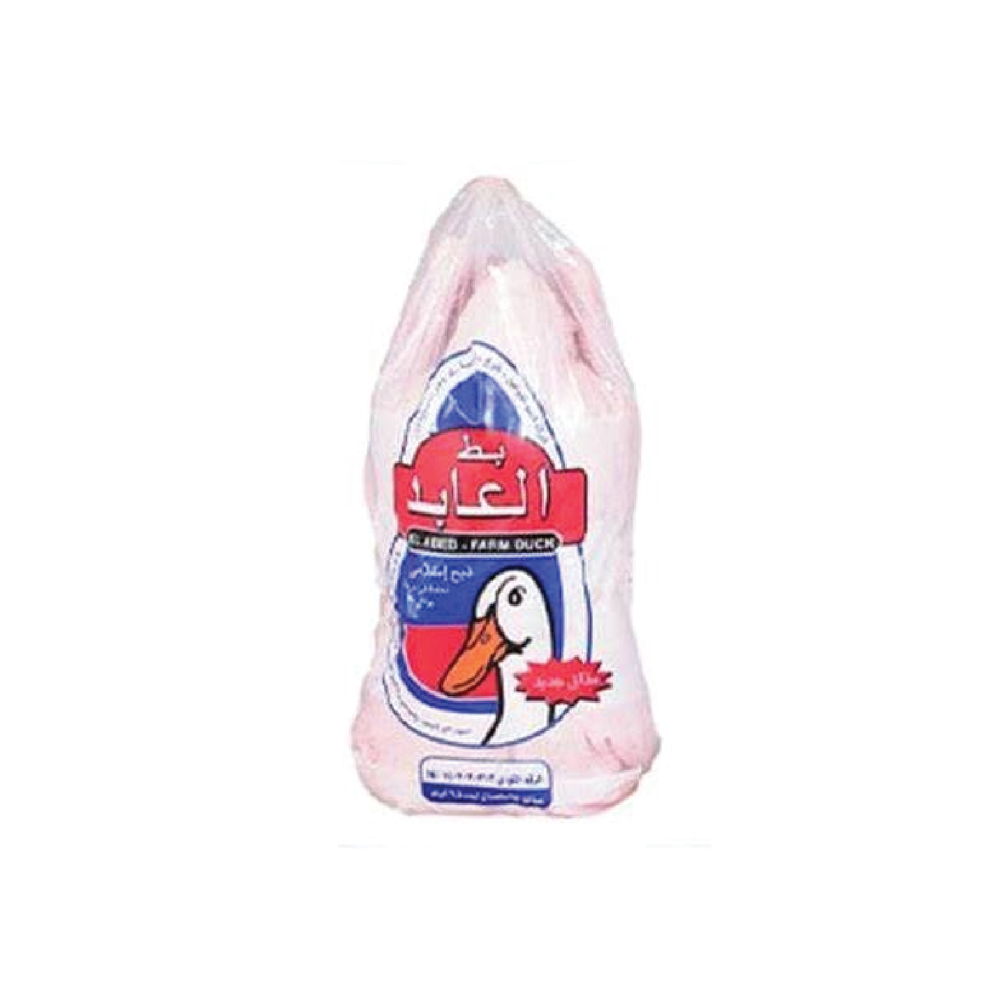 بط العابد 